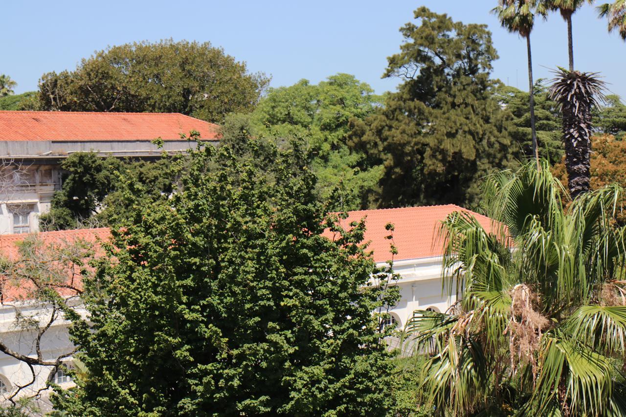 Botanic Views Guest House Lisboa Kültér fotó