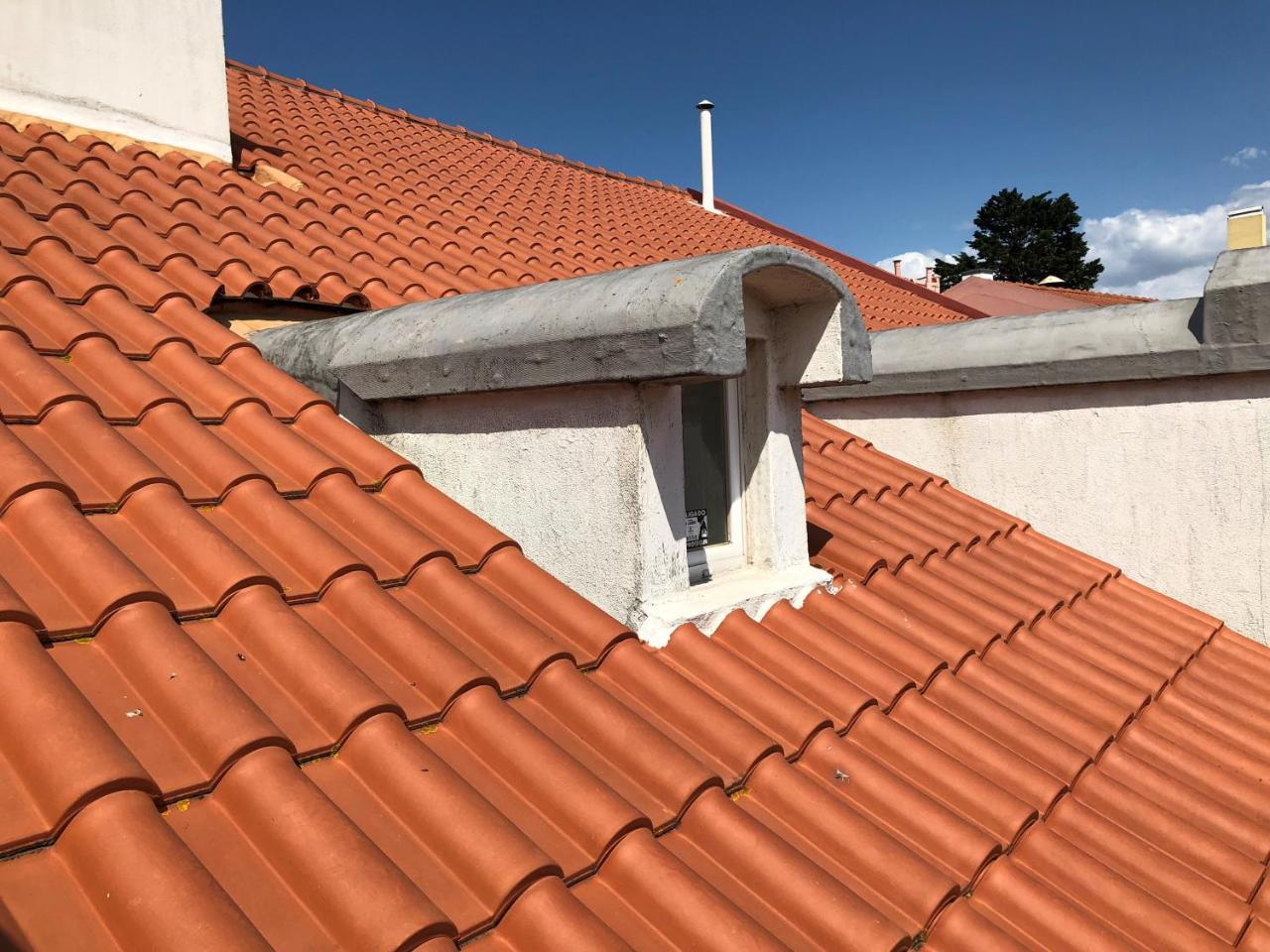 Botanic Views Guest House Lisboa Kültér fotó